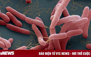 Phát hiện tài xế nhiễm vi khuẩn ăn thịt người tại Buôn Ma Thuột