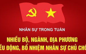 Nhân sự trong tuần: Nhiều bộ, ngành, địa phương điều động, bổ nhiệm nhân sự chủ chốt