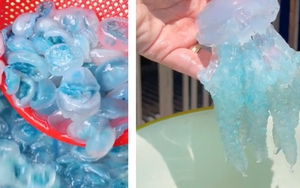 Con nuốc là con gì mà hôm nay lại xôn xao khắp MXH: Giá lên tới 200k/kg, từ món ăn độc lạ trở thành "cơn sốt" ẩm thực