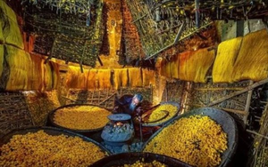 Một mặt hàng của Việt Nam được 3 cường quốc Mỹ - Trung - Nhật Bản ra sức 'tranh giành': Thu về hơn 5 tỷ USD trong 2 tháng, Nga cũng tăng nhập khẩu gấp 2,5 lần