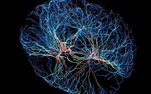 Khoa học tìm ra cơ chế giúp não bộ biến trải nghiệm thành ký ức dài hạn, bạn cũng có thể thử xem sao