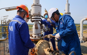Cứ mỗi ngày, một doanh nghiệp Việt Nam thu được gần 341 tỷ đồng