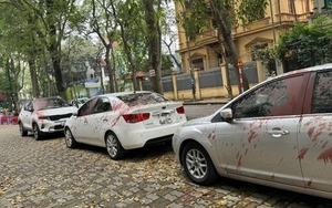 Khởi tố, bắt 4 người vụ tạt sơn nhiều xe ôtô