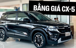 Kia thay đổi giá loạt xe hot: Carnival tăng 20 triệu, Seltos tăng 10 triệu, K3 giảm 20 triệu và nhiều dòng tên khác bạn cần biết