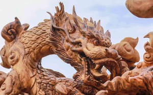 Bí ẩn gốc me tây giá 24 tỷ đồng, chủ nhân dành gần 2 năm tạo hình cửu long canh ngọc