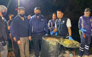 Vụ thi thể trong thùng xi măng gây chấn động Hàn Quốc: Bắt thêm 1 nghi phạm, ADN xác nhận danh tính nạn nhân