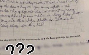 Đề bài yêu cầu viết 1 đoạn văn, học sinh ghi 4 chữ quá thật thà khiến cô giáo chỉ biết câm nín