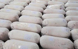 Giá heo hơi vào "sóng" tăng sắp chạm mốc 70.000 đồng/kg, nhiều "ông lớn" đua nhau tái đàn