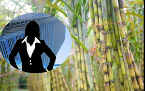 Chân dung cụ bà lớn tuổi nhất trên sàn chứng khoán Việt, cổ đông lớn của một loạt doanh nghiệp nổi tiếng