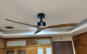 Vì sao cánh quạt thường là số lẻ?