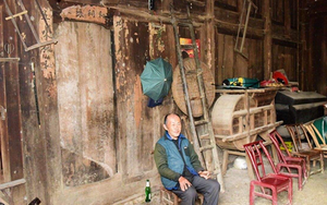 Lạ đời ngôi nhà lụp xụp ai cũng chê: Dựng từ loại gỗ trồng 100 năm mới thu hoạch, giá gần 3.000 tỷ đồng