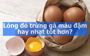 Lòng đỏ trứng gà màu đậm hay nhạt tốt hơn? Sự thật bất ngờ