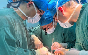 Trung Quốc lần đầu ghép thành công gan lợn chỉnh sửa gen cho người sống