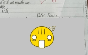 Đề: "Miêu tả công việc yêu thích nhất của mẹ" - học sinh tiểu học viết văn khiến mẹ ngượng chín, bị đánh đòn cũng không oan