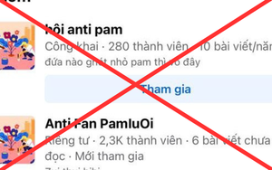 Bức xúc khi Pamyeuoi bị lập group anti: Một em bé 2 tuổi, nói còn chưa sõi thì tội tình gì mà bị ghét bỏ?