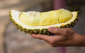 Hưởng lợi từ các mặt hàng nông sản tỷ USD của Việt Nam, doanh nghiệp bán thuốc trừ sâu, khử trùng lãi lớn, cổ phiếu vượt đỉnh