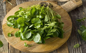 Việt Nam có loại rau chống ung thư tốt nhất thế giới, tốt cho sức khỏe tim mạch và xương khớp