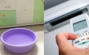 Đặt một chậu nước trong phòng điều hoà có lợi ích gì không? Thì ra bấy lâu rất nhiều người hiểu sai