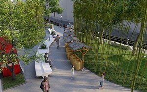 Sẽ có cả 'rừng trúc' bên hồ Trúc Bạch