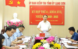 Kỷ luật Trưởng phòng Tài nguyên và Môi trường, đề nghị kỷ luật Bí thư Đảng ủy, Chủ tịch xã