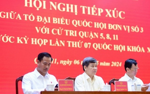 Bà Trương Mỹ Lan còn liên quan đến ít nhất hai vụ án nữa