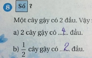 Một cây gậy có 2 đầu, nửa cây gậy có mấy đầu? - Bài toán tiểu học nhưng khiến phụ huynh cãi nhau nảy lửa