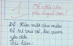 Đề văn yêu cầu miêu tả sự lạc quan, cậu bé "ngoáy" vài chữ, cô giáo đọc xong chỉ biết câm nín