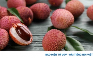 Hầu hết người Việt đều đang lãng phí “một vị thuốc quý” khi ăn vải