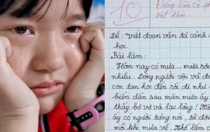 Học sinh tiểu học viết bài văn, chỉ 8 dòng mà khiến cô giáo bật khóc và lập tức chấm 10 điểm