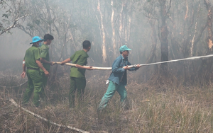 Vụ cháy Vườn Quốc gia Tràm Chim: Có người xâm nhập trái phép