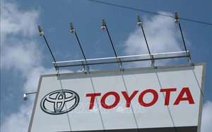Nhật Bản: Toyota không đáp ứng các tiêu chuẩn an toàn của Liên hợp quốc