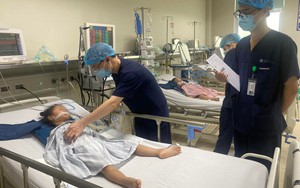 Hà Nội ghi nhận ca viêm não Nhật Bản tại huyện Phúc Thọ