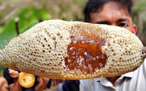 Uống mật ong làm tăng hay hạ đường huyết? Bác sĩ có câu trả lời khiến nhiều người phải thay đổi suy nghĩ lâu nay