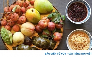 Tránh làm điều này khi diệt sâu bọ ngày Tết Đoan Ngọ kẻo “rước họa vào thân”