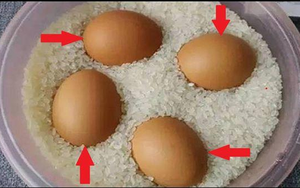 Vì sao nhiều người nhét trứng trong thùng gạo? Hóa ra lợi ích bất ngờ, ai nghe xong cũng muốn thử