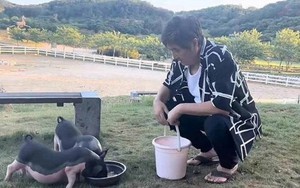 Nghệ sĩ đóng phim với Châu Tinh Trì - Củng Lợi bỏ phố về quê nuôi lợn, trồng rau