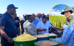 Team châu Phi được Bộ trưởng Nông nghiệp Angola tới tận nơi mua gạo, ông khen một câu tất cả ấm lòng