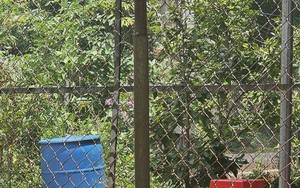 Điều tra người phụ nữ tử vong trong thùng phuy nhựa ở Bình Phước