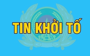 Bắt tạm giam Giám đốc chi nhánh Ngân hàng; khởi tố 3 cán bộ tín dụng