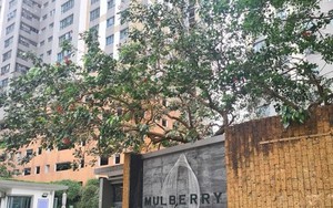 Nữ thư ký Ban quản trị chung cư Mulberry Lane bị khởi tố vì làm giả giấy tờ tham ô tài sản