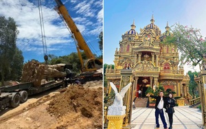 “Đại gia đồng nát” tậu một loại cây nặng 31 tấn, hình thù kỳ lạ đặt trước nhà: Giá tiền và công dụng gây sốc