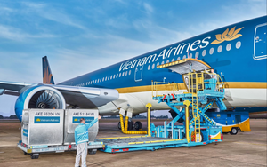 Vietnam Airlines, Vietjet Air, Bamboo Airways vận chuyển miễn phí hàng hóa cứu trợ người dân vùng lũ