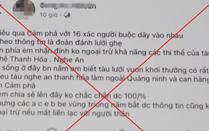 Quảng Ninh bác thông tin "vớt 16 xác người buộc dây vào nhau" trên biển