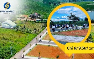 Bắt tạm giam Giám đốc Lê Văn Xá