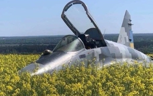 Bức ảnh MiG-29 hạ cánh xuống cánh đồng cải dầu Ukraine gây sốt