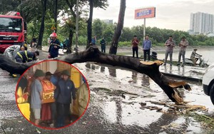 Chồng nạn nhân bị cây đè tử vong ở Hà Nội: "Tôi dặn vợ nếu mưa to quá thì mai hãy về"