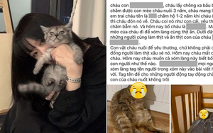Vụ bố thịt mèo con gái nuôi 3 năm, đem chia cho hàng xóm ăn: Điều đau khổ nhất nằm sau câu chuyện gây rúng động