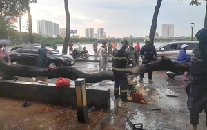 Xót xa người mẹ bị cây phượng bật gốc đè thiệt mạng, bỏ lại 3 con bơ vơ