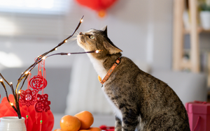 Tết Dương lịch 2025: 3 điều không nên làm để đón năm mới dồi dào tài lộc