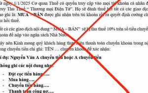 Thông tin giao dịch thương mại điện tử sẽ bị thu thuế 10% là giả mạo